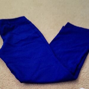 Express Editor Vibrant Blue Pants